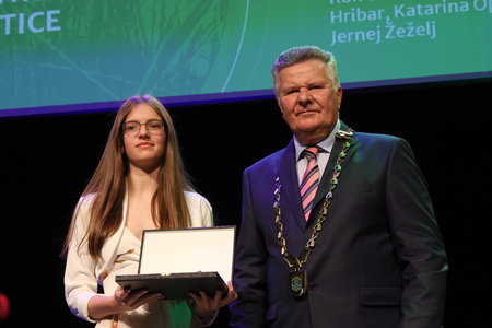 ZLATE PETICE 86 FOTO LJUBO VUKELIČ